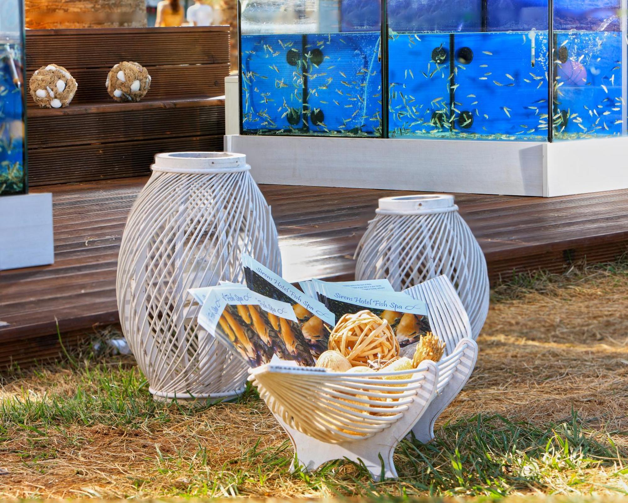 Sirens Beach & Village Malia Eksteriør billede